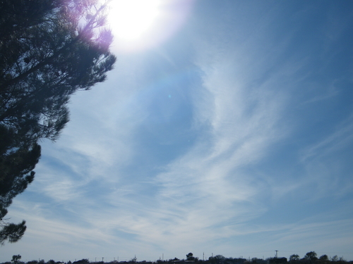 DSCF1176-1.JPG