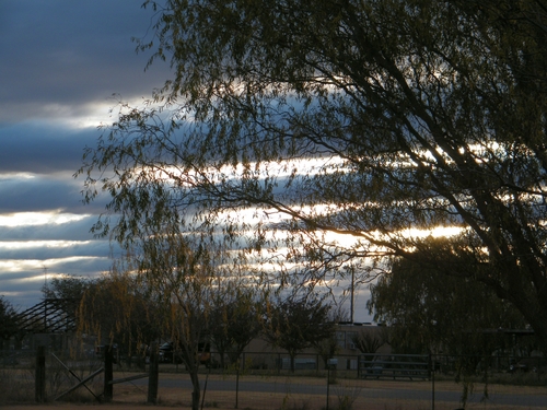 DSCF1779-1.jpg