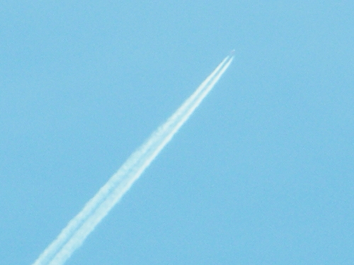 DSCF2006.JPG