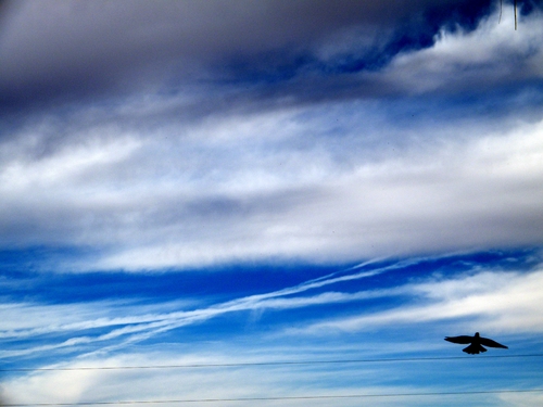 DSCF2063-1.jpg