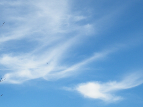 DSCF2080.JPG