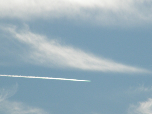 DSCF2135.JPG