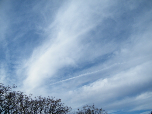 DSCF2123.JPG