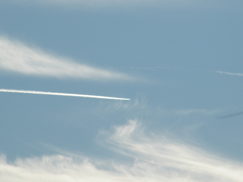 DSCF2137.JPG