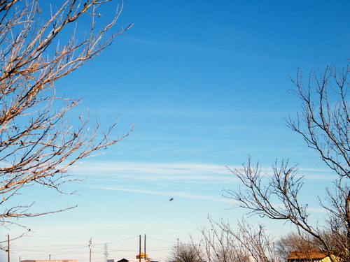 DSCF2450.JPG