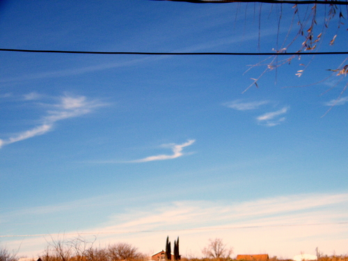 DSCF2452.JPG