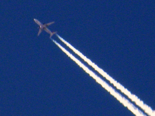 DSCF2470.JPG