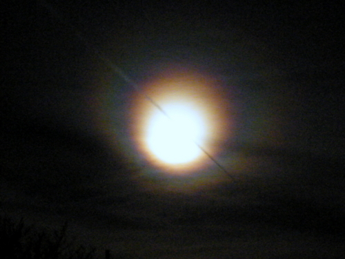 DSCF2488.JPG