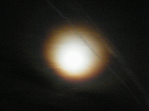 DSCF2491.JPG