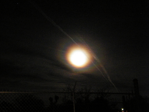 DSCF2493.JPG