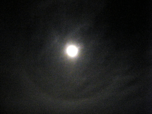 DSCF2533.JPG