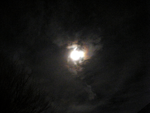 DSCF2550.JPG