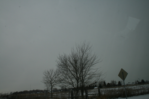 IMG_9630.JPG