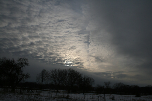 IMG_9670.JPG