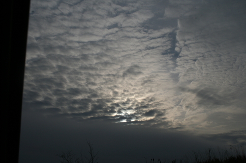 IMG_9674.JPG