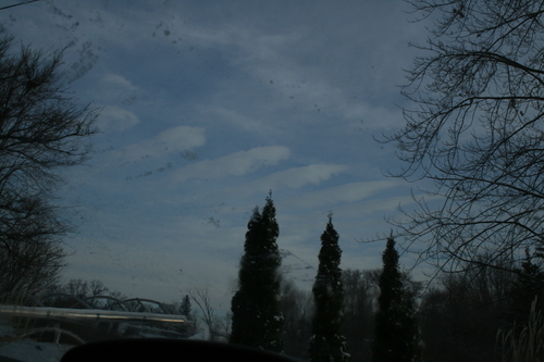 IMG_9764.JPG