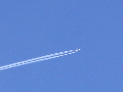 121_2125.jpg