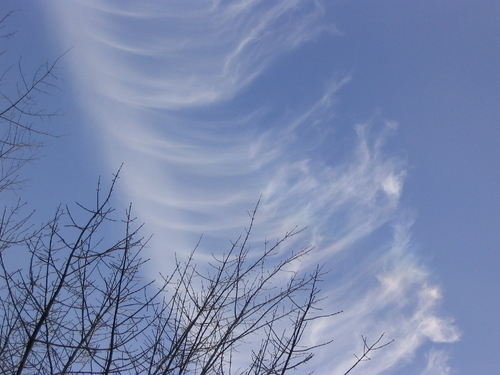 121_2136.jpg
