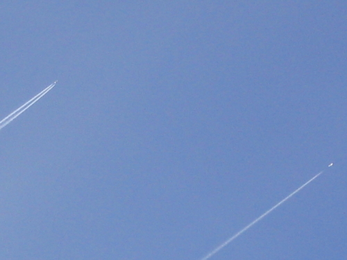 121_2141.jpg