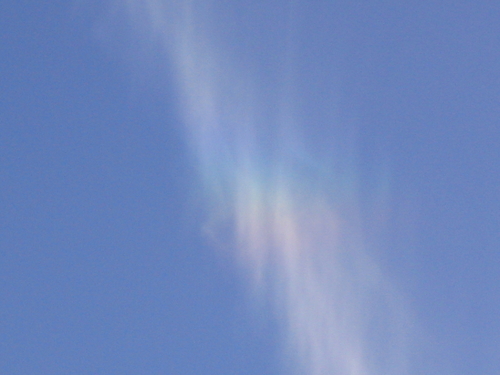 121_2152.jpg