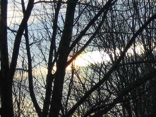 121_2153.jpg