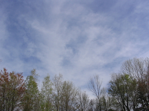 124_2493.jpg