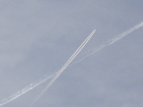 124_2496.jpg