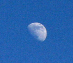 moon.jpg