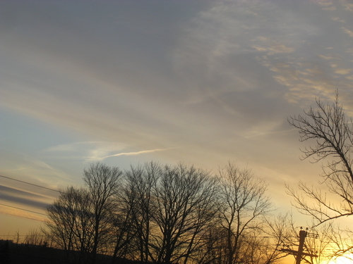 IMG_2959.JPG