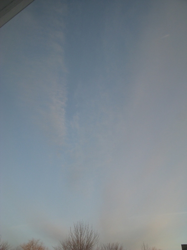 IMG_2965bb.jpg