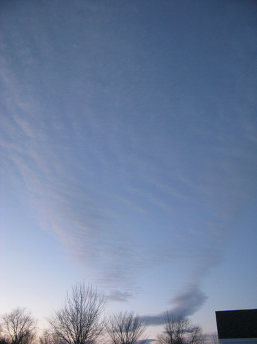 IMG_2982_2.jpg