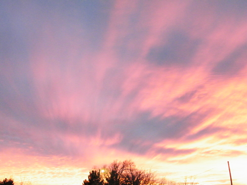 DSCF2605.JPG