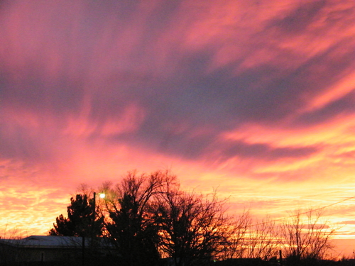 DSCF2607.JPG
