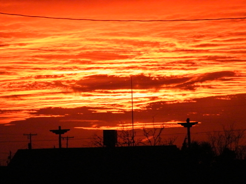 DSCF2610.JPG