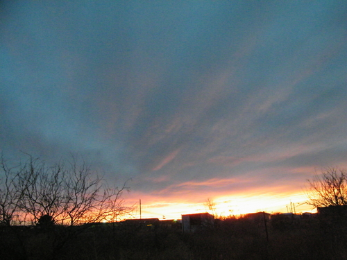 DSCF2619.JPG