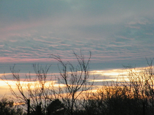 DSCF2716.JPG