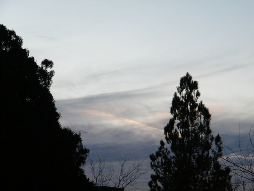 DSCF2722.JPG