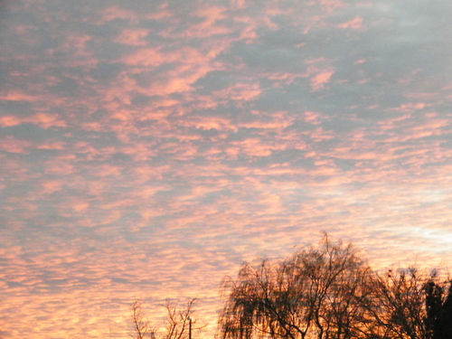DSCF2792.JPG