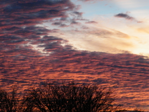 DSCF2796.JPG