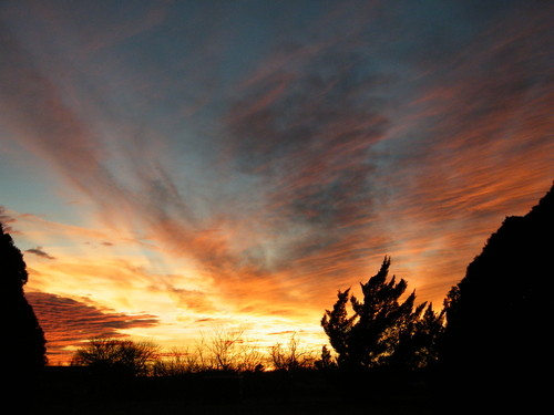 DSCF2799.JPG