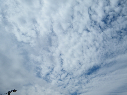 DSCF2824.JPG