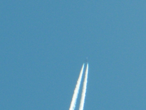 DSCF2829.JPG