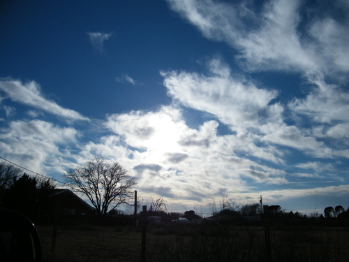 DSCF2877.JPG