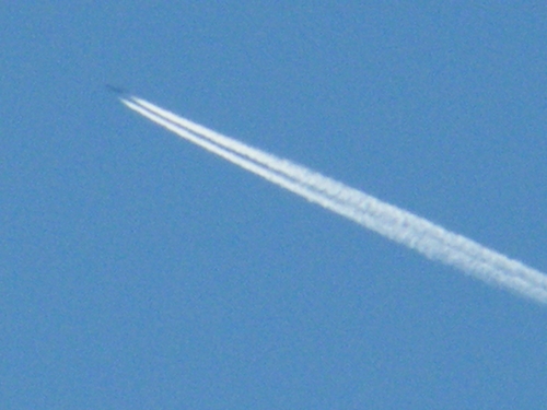 DSCF2947.JPG