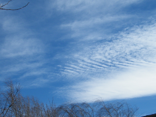 DSCF3070.JPG