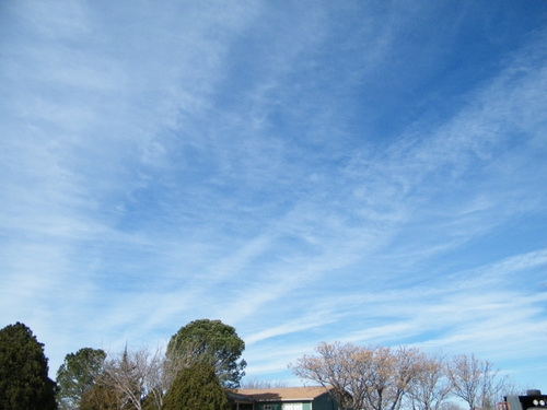 DSCF3098.JPG