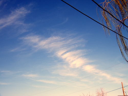 DSCF3815.JPG