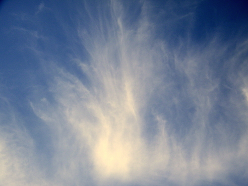 DSCF3816.JPG