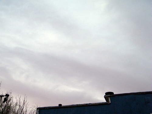 DSCF3823.JPG