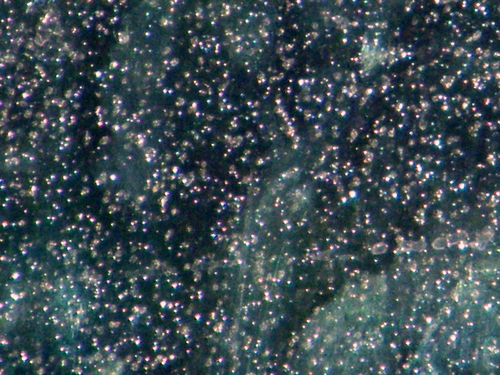DSCF3866.JPG